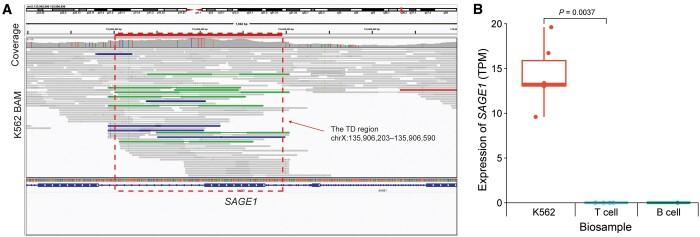 https://cdn.ncbi.nlm.nih.gov/pmc/blobs/9313/11425056/54a5aad2c316/qzae008f3.jpg