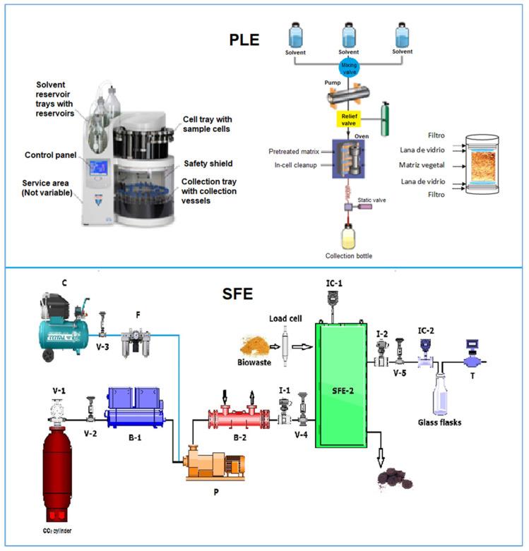 https://cdn.ncbi.nlm.nih.gov/pmc/blobs/9315/10254675/10dc8b48637d/molecules-28-04421-g002.jpg