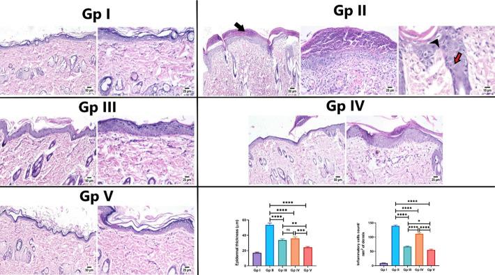 https://cdn.ncbi.nlm.nih.gov/pmc/blobs/9315/10735031/1795e28aae8b/pone.0294067.g006.jpg
