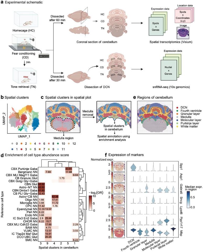 https://cdn.ncbi.nlm.nih.gov/pmc/blobs/9315/12083642/72a1243f2083/nihpp-rs6469280v1-f0001.jpg