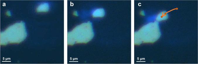 https://cdn.ncbi.nlm.nih.gov/pmc/blobs/9316/10104871/c93850d222b1/41467_2023_37763_Fig8_HTML.jpg