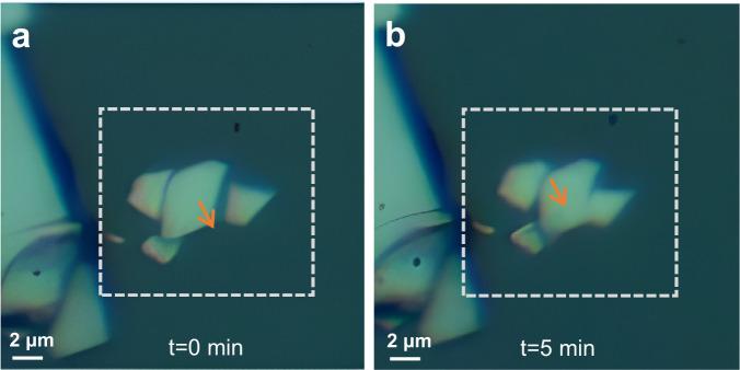 https://cdn.ncbi.nlm.nih.gov/pmc/blobs/9316/10104871/ec3d161776d8/41467_2023_37763_Fig7_HTML.jpg