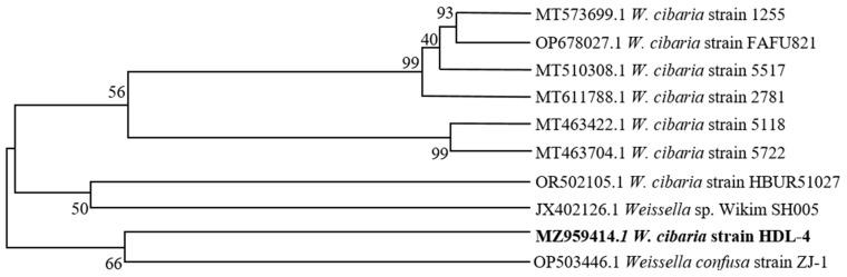 https://cdn.ncbi.nlm.nih.gov/pmc/blobs/9316/11360005/4eef6c7557a0/polymers-16-02314-g001.jpg