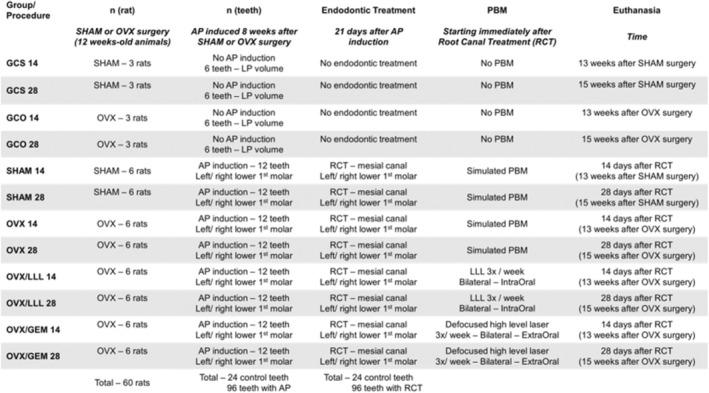 https://cdn.ncbi.nlm.nih.gov/pmc/blobs/9319/12160974/45b477d0d5a0/IEJ-58-1042-g006.jpg