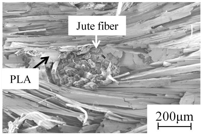 https://cdn.ncbi.nlm.nih.gov/pmc/blobs/931c/5456851/f45588cbd3f1/materials-09-00573-g007.jpg