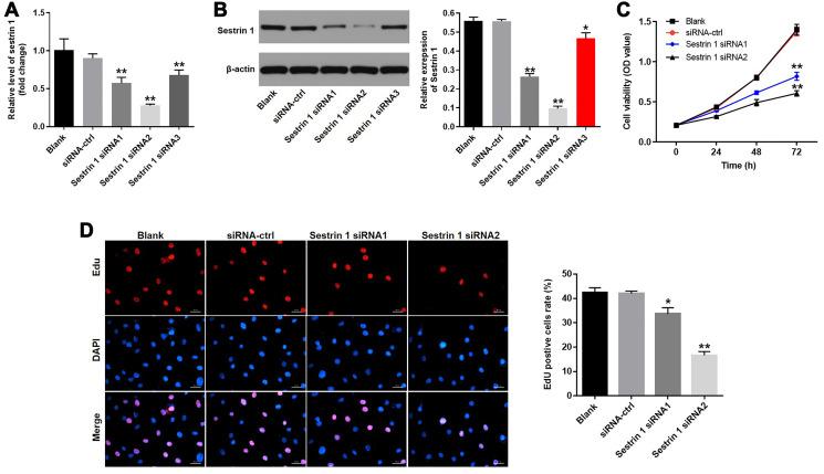 https://cdn.ncbi.nlm.nih.gov/pmc/blobs/931d/8109134/4dc0c5b4023b/aging-13-202872-g003.jpg