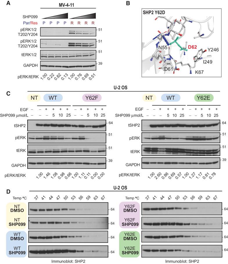 https://cdn.ncbi.nlm.nih.gov/pmc/blobs/9320/9381109/d195f14f5a83/2141fig6.jpg