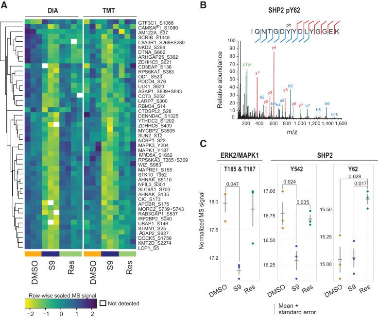 https://cdn.ncbi.nlm.nih.gov/pmc/blobs/9320/9381109/d40a3a297538/2141fig4.jpg