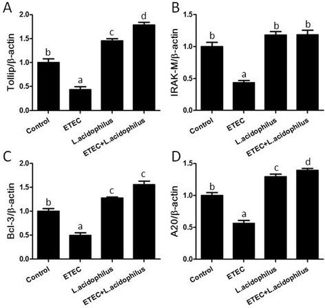 https://cdn.ncbi.nlm.nih.gov/pmc/blobs/9323/5105324/16ea897c39f1/12866_2016_862_Fig4_HTML.jpg