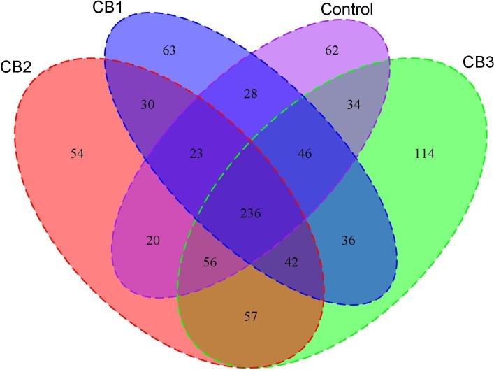 https://cdn.ncbi.nlm.nih.gov/pmc/blobs/9323/6156435/3fec90c06e9b/fmicb-09-02191-g001.jpg