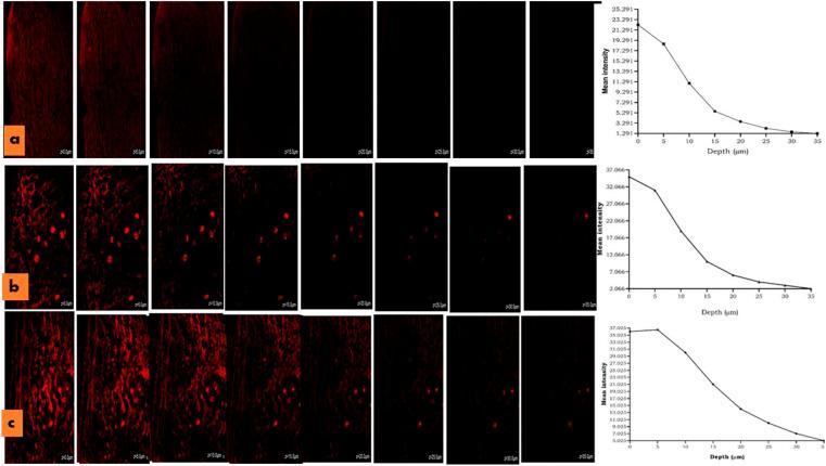 https://cdn.ncbi.nlm.nih.gov/pmc/blobs/9324/10791119/ca3b2558cf5c/d3na00943b-f10.jpg