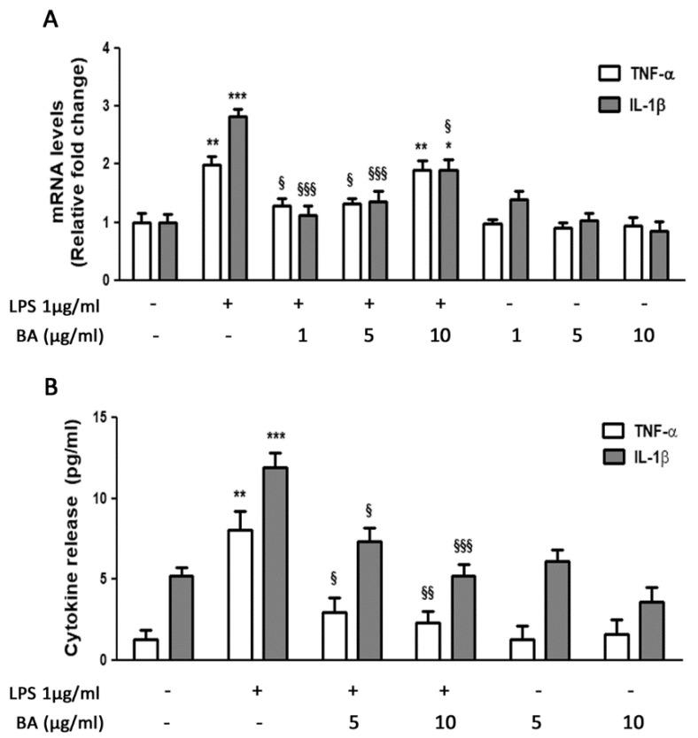 https://cdn.ncbi.nlm.nih.gov/pmc/blobs/9325/7956379/c569ee68076c/ijms-22-02315-g002.jpg