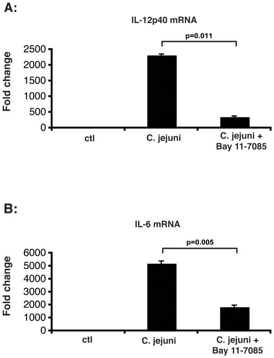 https://cdn.ncbi.nlm.nih.gov/pmc/blobs/9326/2760752/c4e79d05fd60/pone.0007413.g002.jpg