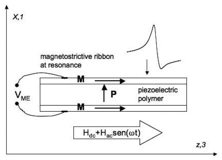 https://cdn.ncbi.nlm.nih.gov/pmc/blobs/9327/4062999/aee335ccb296/sensors-14-07602f13.jpg