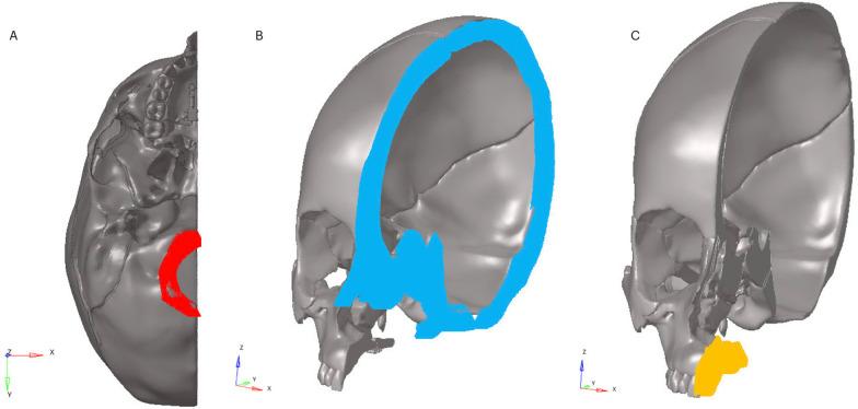 https://cdn.ncbi.nlm.nih.gov/pmc/blobs/9327/9986190/53ed671d74bb/40510_2023_459_Fig1_HTML.jpg
