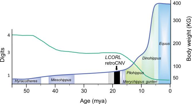 https://cdn.ncbi.nlm.nih.gov/pmc/blobs/9328/10249811/2ad854b0f0ac/pone.0286861.g005.jpg