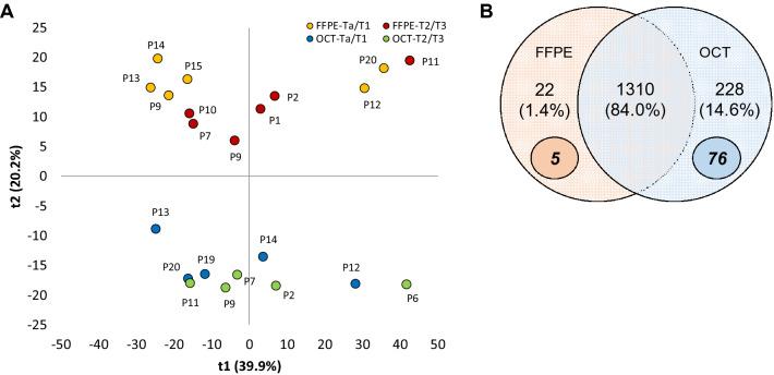 https://cdn.ncbi.nlm.nih.gov/pmc/blobs/9328/8027873/6864957e1230/41598_2021_87003_Fig1_HTML.jpg