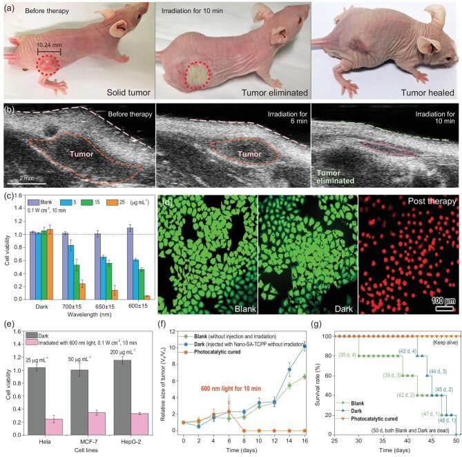 https://cdn.ncbi.nlm.nih.gov/pmc/blobs/9329/8288340/54a46510432e/nwaa155fig2.jpg