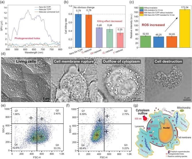 https://cdn.ncbi.nlm.nih.gov/pmc/blobs/9329/8288340/62041264c66e/nwaa155fig5.jpg