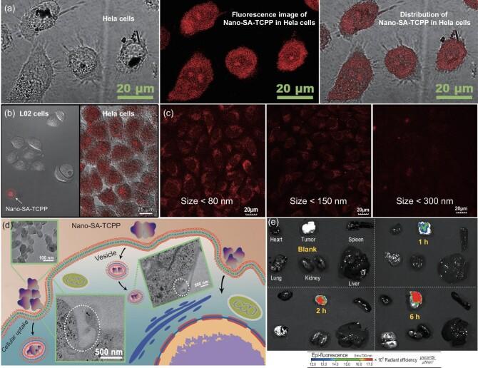 https://cdn.ncbi.nlm.nih.gov/pmc/blobs/9329/8288340/940c5d9ff859/nwaa155fig3.jpg