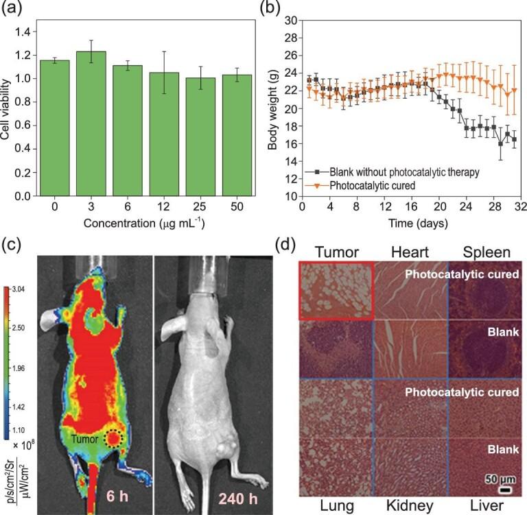 https://cdn.ncbi.nlm.nih.gov/pmc/blobs/9329/8288340/9c7da10f6931/nwaa155fig4.jpg