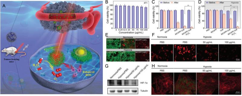 https://cdn.ncbi.nlm.nih.gov/pmc/blobs/932a/10614655/0ca35477a9e8/IJN-18-6077-g0007.jpg