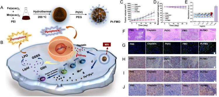 https://cdn.ncbi.nlm.nih.gov/pmc/blobs/932a/10614655/5dd61aa93ff1/IJN-18-6077-g0002.jpg