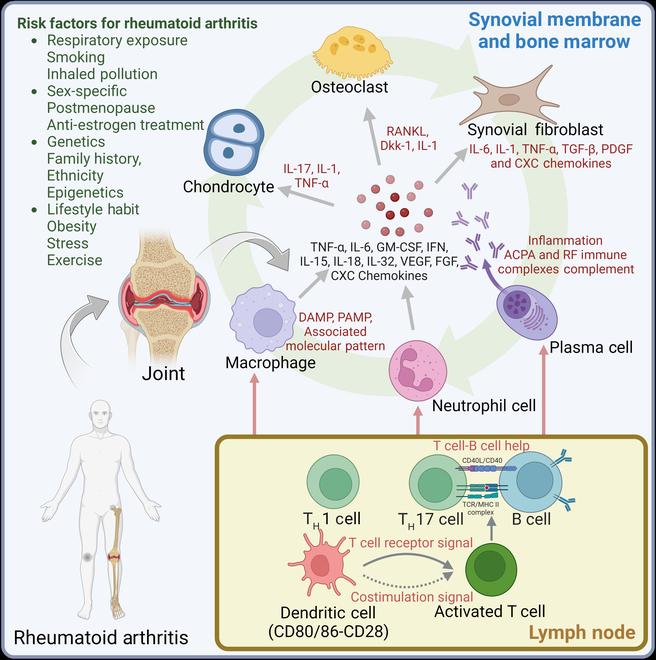 https://cdn.ncbi.nlm.nih.gov/pmc/blobs/932a/11789687/1baac2c560e6/research.0220.fig.001.jpg