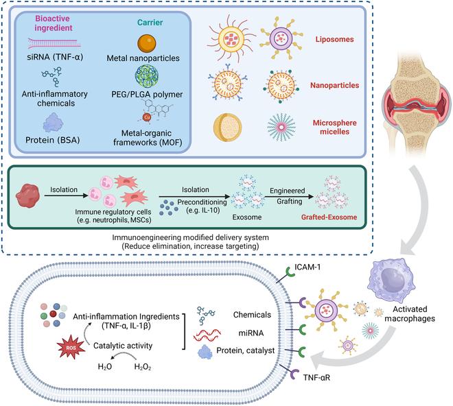 https://cdn.ncbi.nlm.nih.gov/pmc/blobs/932a/11789687/321274a0c159/research.0220.fig.005.jpg