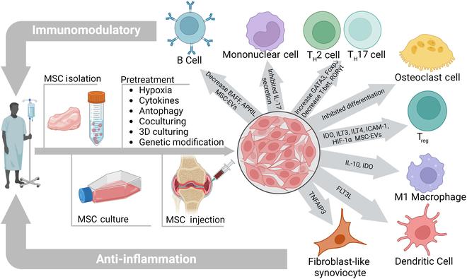https://cdn.ncbi.nlm.nih.gov/pmc/blobs/932a/11789687/95bb24ef7ce9/research.0220.fig.002.jpg