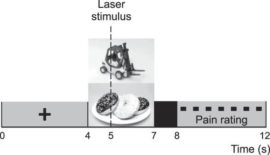 https://cdn.ncbi.nlm.nih.gov/pmc/blobs/932a/4346715/48f3908d8b45/z9k0051528630001.jpg