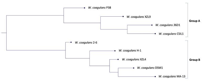 https://cdn.ncbi.nlm.nih.gov/pmc/blobs/932b/8954581/6e50f4af2be6/ijms-23-03135-g001.jpg