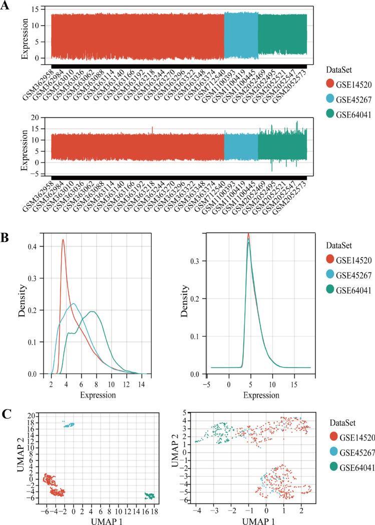 https://cdn.ncbi.nlm.nih.gov/pmc/blobs/932e/11933616/767ca42e0f8b/12672_2025_2182_Fig2_HTML.jpg