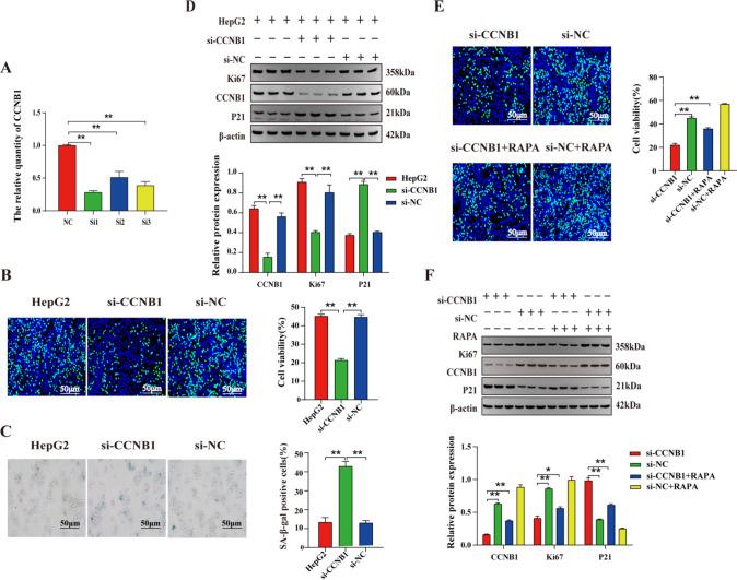 https://cdn.ncbi.nlm.nih.gov/pmc/blobs/932e/11933616/f0f70d3c4a3d/12672_2025_2182_Fig10_HTML.jpg