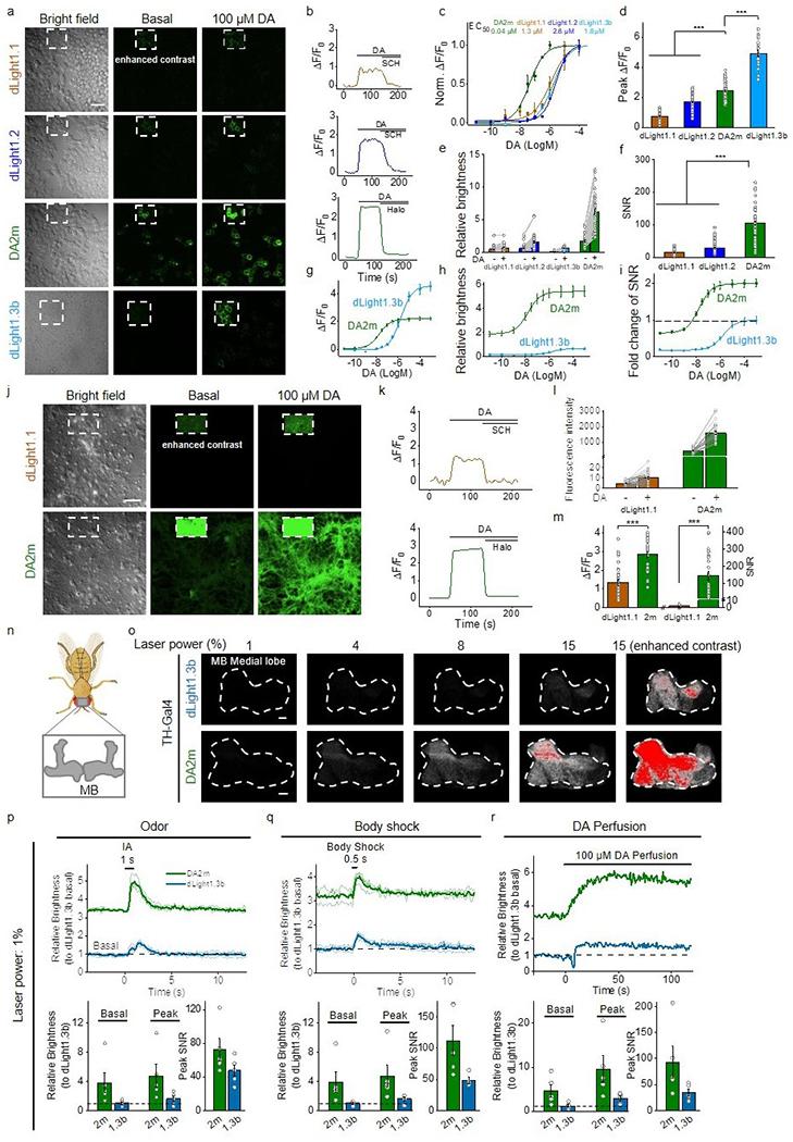 https://cdn.ncbi.nlm.nih.gov/pmc/blobs/932e/7648260/6845bffd985f/nihms-1629579-f0012.jpg