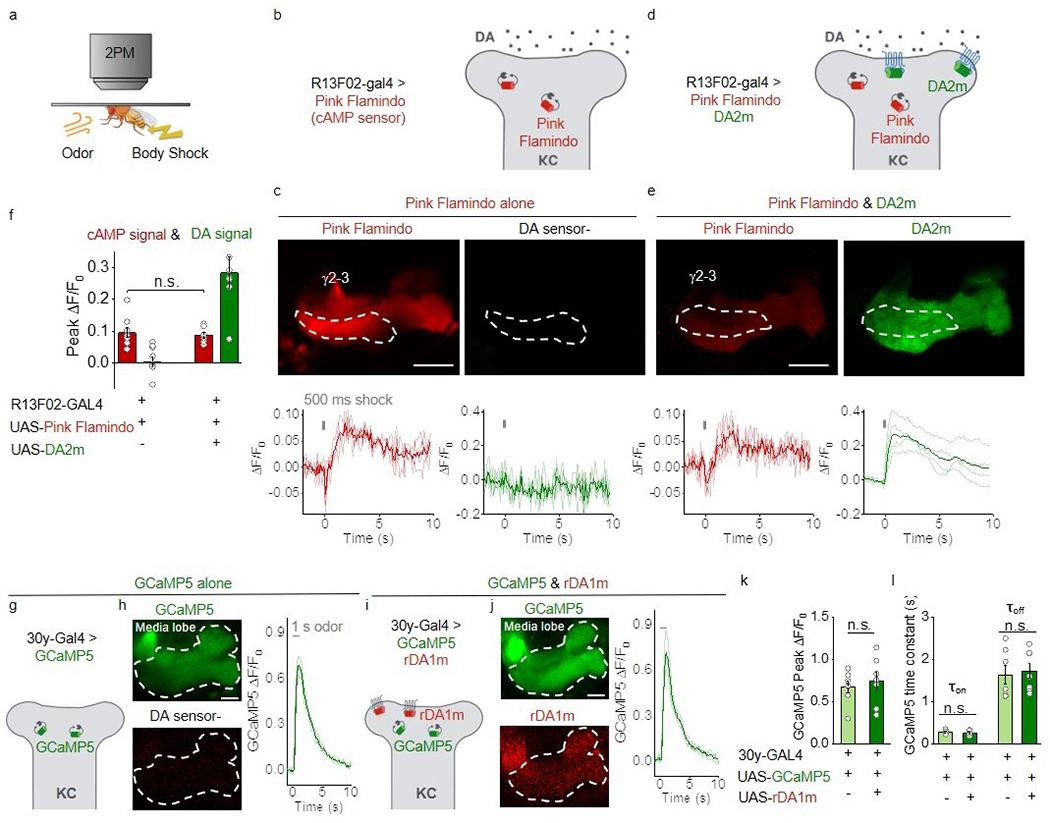 https://cdn.ncbi.nlm.nih.gov/pmc/blobs/932e/7648260/a8fe4d33b7e7/nihms-1629579-f0013.jpg