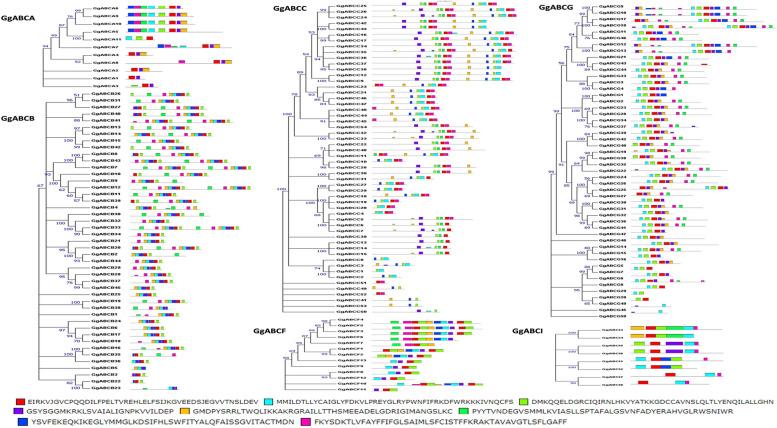 https://cdn.ncbi.nlm.nih.gov/pmc/blobs/932f/10967134/d36b2ef318c3/12864_2024_10227_Fig1_HTML.jpg