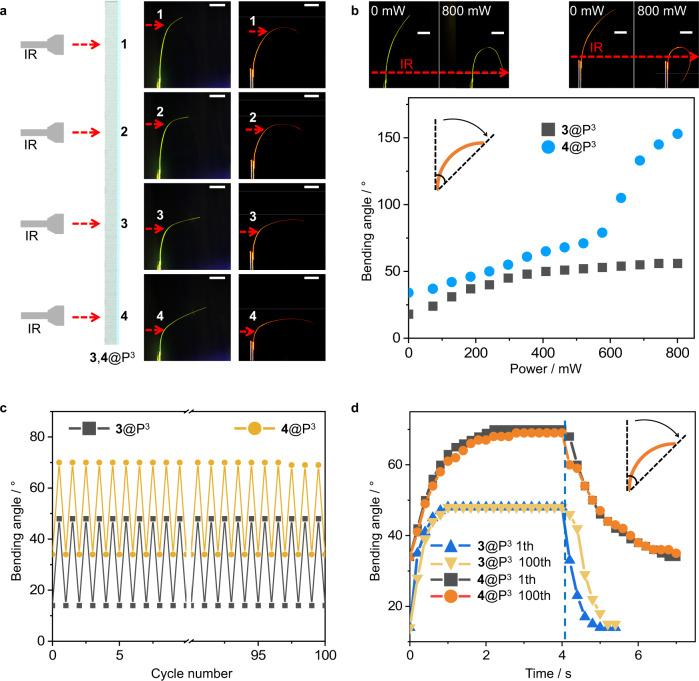 https://cdn.ncbi.nlm.nih.gov/pmc/blobs/9331/10279756/377af4bcc0dd/41467_2023_39162_Fig4_HTML.jpg