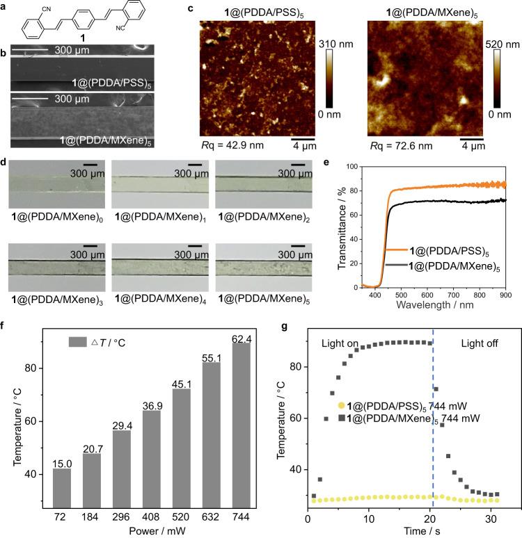 https://cdn.ncbi.nlm.nih.gov/pmc/blobs/9331/10279756/3d9eddcc9180/41467_2023_39162_Fig1_HTML.jpg