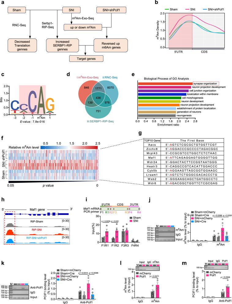 https://cdn.ncbi.nlm.nih.gov/pmc/blobs/9332/12326004/2eea4c8425fc/41467_2025_62565_Fig6_HTML.jpg