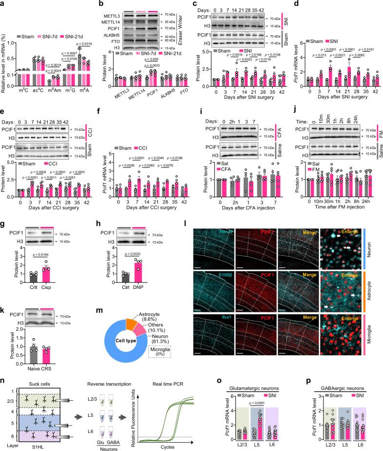 https://cdn.ncbi.nlm.nih.gov/pmc/blobs/9332/12326004/6fceb78b59a7/41467_2025_62565_Fig1_HTML.jpg
