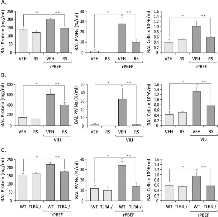 https://cdn.ncbi.nlm.nih.gov/pmc/blobs/9332/4536637/24811c5248bc/srep13135-f4.jpg