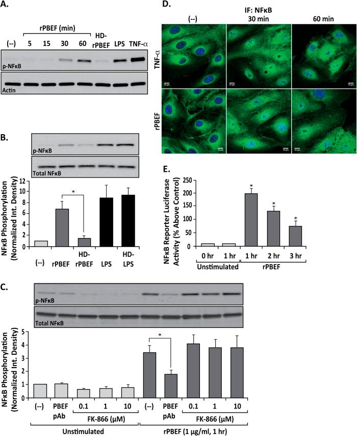 https://cdn.ncbi.nlm.nih.gov/pmc/blobs/9332/4536637/30ecbfe23e1d/srep13135-f1.jpg
