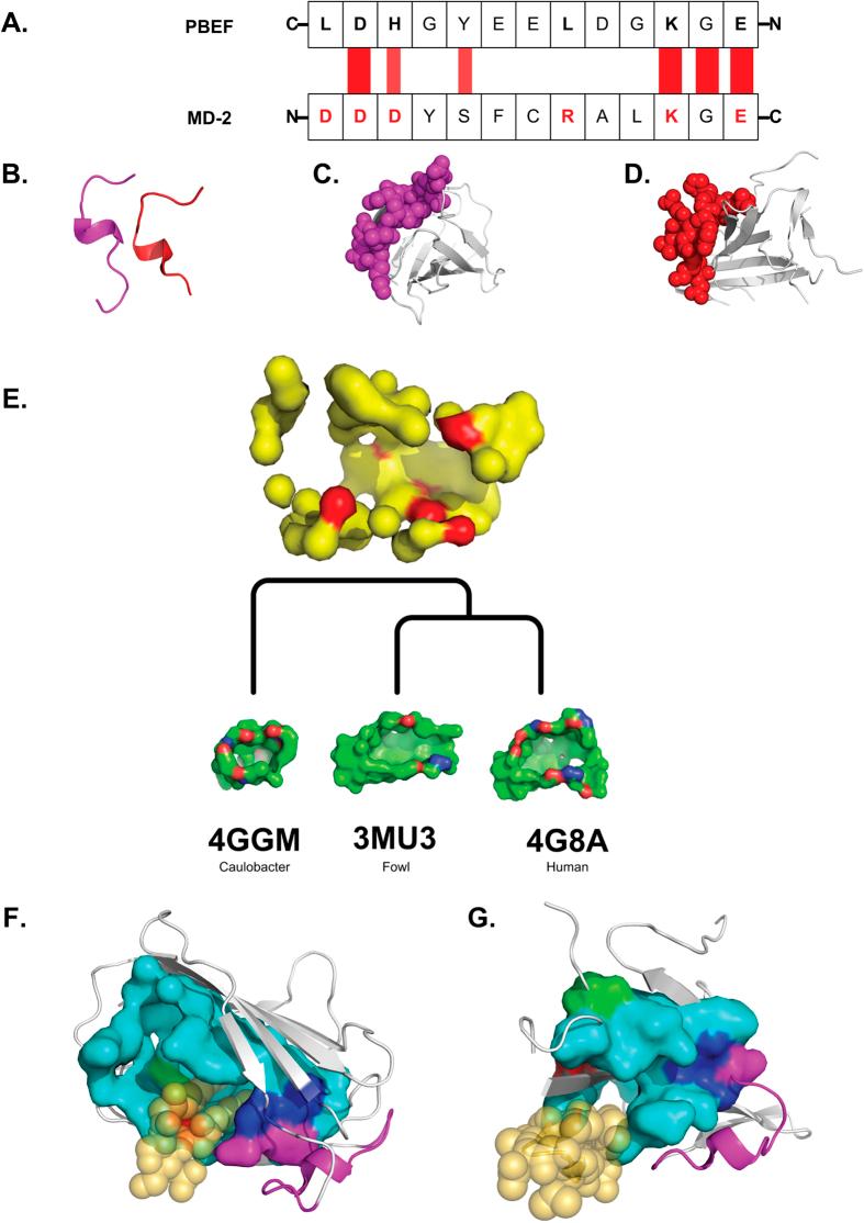 https://cdn.ncbi.nlm.nih.gov/pmc/blobs/9332/4536637/e11dff25c54b/srep13135-f6.jpg