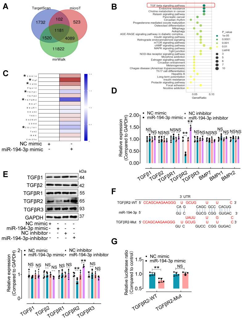 https://cdn.ncbi.nlm.nih.gov/pmc/blobs/9333/11426245/68fa3cdcff67/thnov14p5926g006.jpg