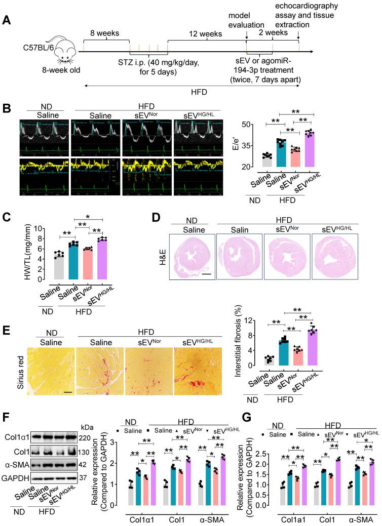 https://cdn.ncbi.nlm.nih.gov/pmc/blobs/9333/11426245/6be6d7fd5187/thnov14p5926g002.jpg