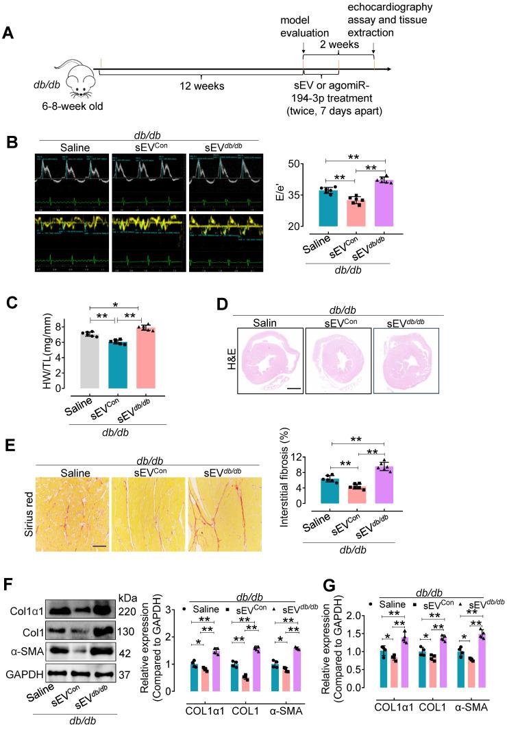 https://cdn.ncbi.nlm.nih.gov/pmc/blobs/9333/11426245/cdd0642d4659/thnov14p5926g003.jpg
