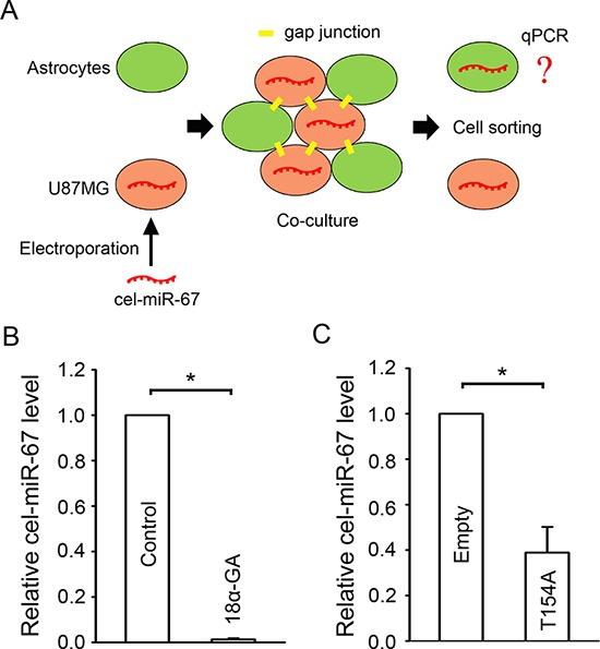 https://cdn.ncbi.nlm.nih.gov/pmc/blobs/9334/4558171/452c55292f7d/oncotarget-06-15566-g003.jpg