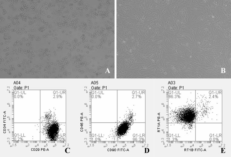 https://cdn.ncbi.nlm.nih.gov/pmc/blobs/9334/5428401/5ce39d423985/MMR-15-05-2551-g00.jpg