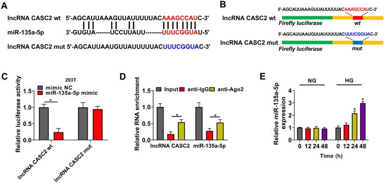 https://cdn.ncbi.nlm.nih.gov/pmc/blobs/9334/8393478/7b7bbb8eb12e/13098_2021_709_Fig2_HTML.jpg